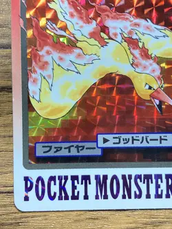 Pokemon Carddass Card Moltres File No.146 Bandai Pocket Monsters 1997 Japan - Image 5