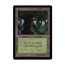 WOTC MtG Beta Forest - Version C (L) EX - Image 1