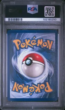 PSA 8 HORSEA 49 FOSSIL 1ST EDITION POKEMON NM MINT - Image 2