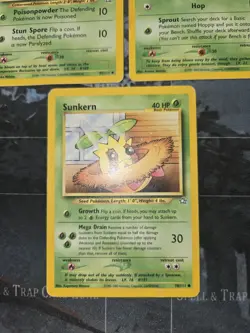 Neo Genesis 3 Card Lot Skiploom, Hoppip, Sunkern Pokemon - Image 4