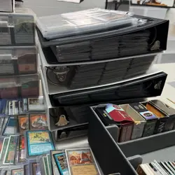 Magic the Gathering Collection $12,500+ Value Sleeved, Binder & Bulk 15k+ Cards - Image 3