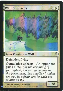 Magic The Gathering MTG Mystery Pack Foil Card Wall of Shards - Image 1