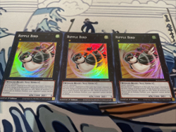 Yugioh Ripple Bird Super Rare SUDA-EN088 x3 Near Mint 1st Edition - Image 1