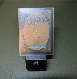 MTG Forest (Year of the Snake 2025) Exclusive APAC Promo Foil - Image 2