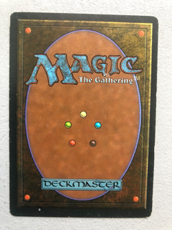 Mtg Carte Magic Fbb Wall of Swords French LP/MP - Image 2