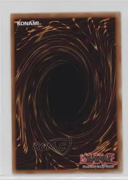 Amazoness Fighter YuGiOh Gold Series 3 Limited Edition Box Collection 2010 - Image 2