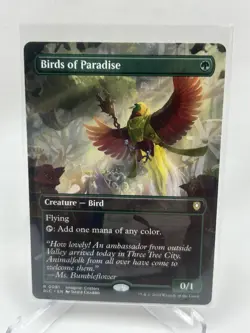 Birds of Paradise (Borderless) Commander: Bloomburrow Regular - Image 1