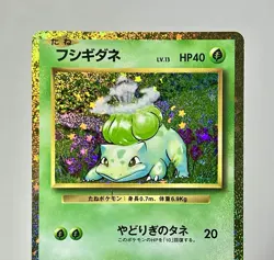 Bulbasaur 001/032 (NM) Holo Rare CLF: TCG Classic Collection Set 2023 Pokemon - Image 3