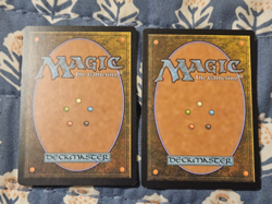Perilous Shadow x2 Return to Ravnica Magic MTG LP - Image 2