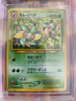 Pokemon Card Blubella Bellossom Neo Genesis GSNW Holo Japanese BGS Beckett 8.5 - Image 3