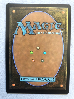 Mtg Carte Magic Secret Lair The Ur-Dragon FOIL English NM - Image 2