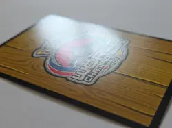 Tropical Beach BW50 2013 World Championships Pokemon Promo Ian Whiton Excellent - Image 4