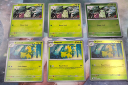 3x Chikorita 3x Bayleef 2x Reverse Holo Mega Evolution Pokemon TCG Near Mint - Image 2