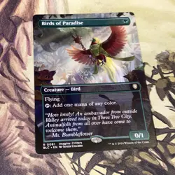 Birds Of Paradise X1 Mtg Bloomburrow Nm Borderless - Image 1