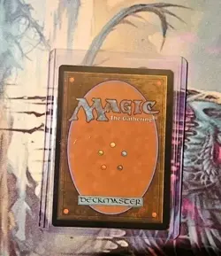 Walk-In Closet/Forgotten Cellar Borderless (NM Non-Foil) DSK-0341 Mythic MTG - Image 2