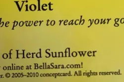 Bella Sara Violet S37/55 Trading Card Lady of Herd Sunflower Used - Image 3
