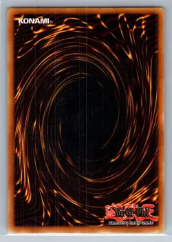 Starter Deck: Kaiba Evolution #SKE-029 Monster Reborn - VG - Image 2
