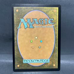 2025 MTG MARVEL'S SPIDER-MAN BORDERLESS MULTIVERSAL PASSAGE 0206 (RARE) - Image 2