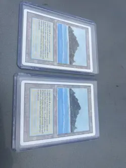 Magic the Gathering Tropical Island Land Revised Edition (2, MP and HP) - Image 1