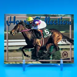 Biko Pegasus Thoroughbred Horse Racing TCG Trading Card Vintage Bandai Japan 214 - Image 1