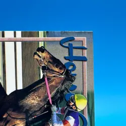 Biko Pegasus Thoroughbred Horse Racing TCG Trading Card Vintage Bandai Japan 214 - Image 3