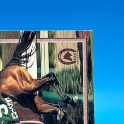 Biko Pegasus Thoroughbred Horse Racing TCG Trading Card Vintage Bandai Japan 214 - Image 5