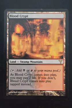 Magic The Gathering MTG BLOOD CRYPT Dissension LP Lightly Played - Image 1