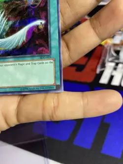 Yugioh 1996 Harpie's Feather Duster SCR SDD-003 Near Mint - Image 4