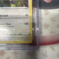 CGC 10 Rayquaza SWSH029 SWSH: Sword & Shield Promo Cards Holo - Image 4