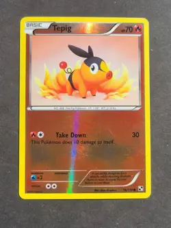 Pokemon TEPIG 16/114 - BLACK AND WHITE REVERSE HOLO - EX - Image 1