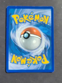 Pokemon TEPIG 16/114 - BLACK AND WHITE REVERSE HOLO - EX - Image 2