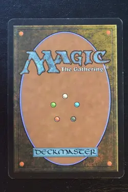 Magic The Gathering MTG SNOW-COVERED FOREST Coldsnap LP Lightly Played - Image 2