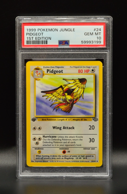 Pidgeot 1st Edition 1999 Pokemon Jungle PSA 10 GEM MT WOTC #24 - Image 1