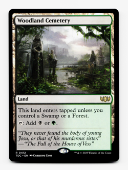 Woodland Cemetery [Commander: Tarkir: Dragonstorm] MTG Magic NM/M 💀🌳 - Image 1