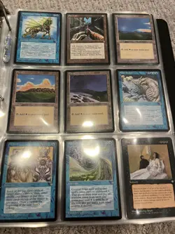MTG Ice Age Complete Set NM All 383 Cards ALL GLOSSY EXTREMElY RARE - Image 2