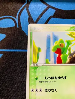 NM Treecko 2005 Pokemon Center Yokohama Promo Japanese 037/PCG-P #1214 - Image 2