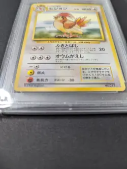 POP14! 1996 Pokemon JAPANESE BASE #17 PIDGEOTTO NO RARITY SYMBOL PSA10 - Image 3