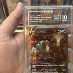 Pokemon Japanese VSTAR Universe Entei V SAR 213 TAG 10 Gem Mint - Image 2