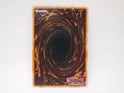1x (EX) Cards for Black Feathers - DP11-EN020 - Common - 1st Edition YuGiOh - Image 2