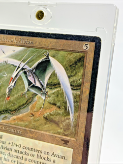 VINTAGE ANTIQUITIES - Clockwork Avian - MTG Magic the Gathering Card in Holder - Image 5