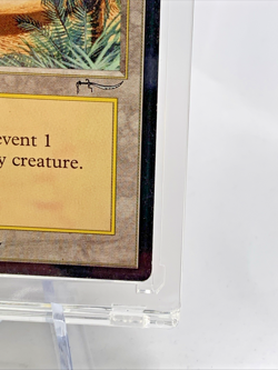 ARABIAN NIGHTS - Oasis Vintage MTG Magic the Gathering Card in Magnetic Holder b - Image 4