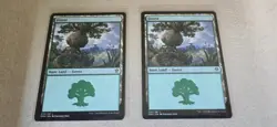 2x Forest - Basic Land (275/281) MTG Dominaria United NM Magic Regular - Image 1
