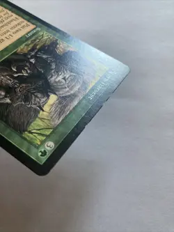 Acorn Harvest - MTG - Torment 118/143 MP - Image 3