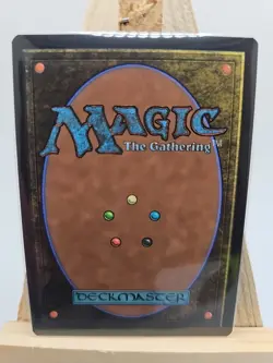 MTG Windcrag Siege (Borderless) Tarkir: Dragonstorm 0392 Near Mint Condition - Image 4