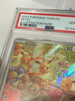 Pokemon Eevee 188/167 Illustration Rare Twilight Masquerade #188 GEM MINT PSA 10 - Image 3