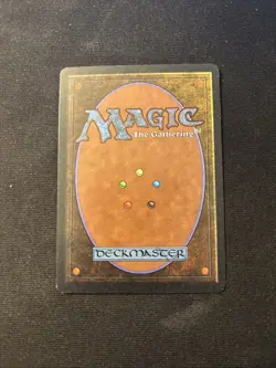 Dandan Arabian Nights Mtg 5 - Image 2