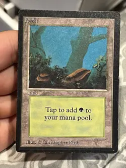 Magic The Gathering MTG FOREST (A, B, & C) Beta Edition LP Lightly Played - Image 1