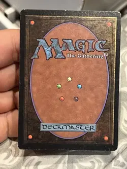 Magic The Gathering MTG FOREST (A, B, & C) Beta Edition LP Lightly Played - Image 3