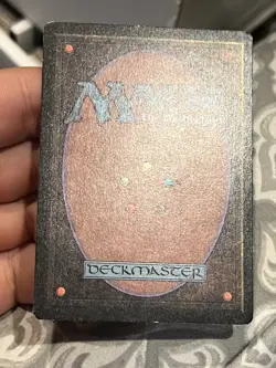 Magic The Gathering MTG FOREST (A, B, & C) Beta Edition LP Lightly Played - Image 4