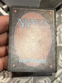 Magic The Gathering MTG FOREST (A, B, & C) Beta Edition LP Lightly Played - Image 5